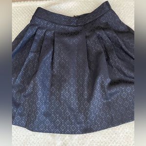 Banana Republic Skirt Size 2